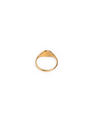 Circular Signet Ring (Golden)